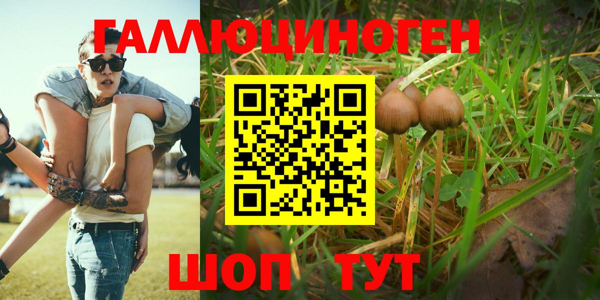как найти   Галлюциногенные грибы прущие грибы  Вход с VPN  Галлюциногенные грибы прущие грибы  Елабуга 